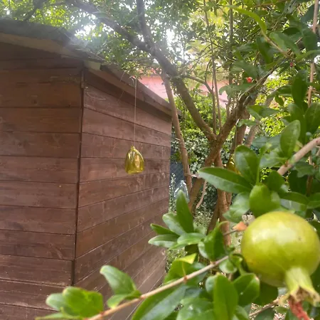 La Casa Di Francy Con Giardino Privato Διαμέρισμα *